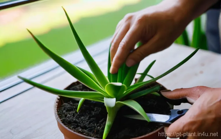 스투키 키우는 방법 - **Prompt Title: Tranquil Space with Air-Purifying Sansevieria**
    **Description:** A serene and in...