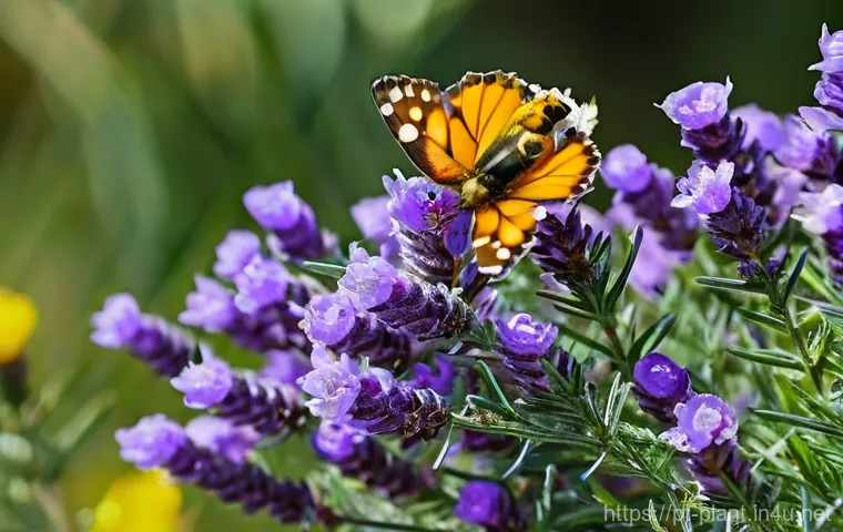 자생식물 활용한 정원 조성 - A vibrant and lush native Portuguese garden bathed in warm, natural sunlight. Showcase a diverse arr...