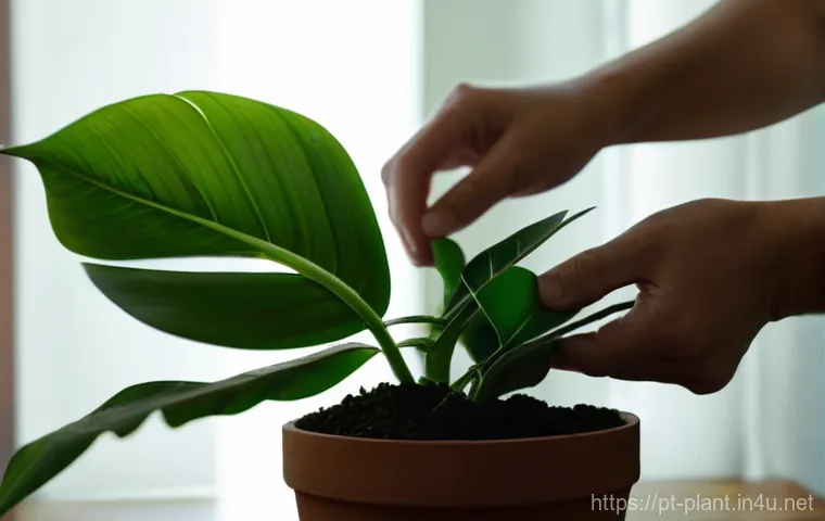 햇빛 없이 잘 자라는 식물 - **"Propagation Paradise"**
    A charming and organized indoor plant propagation station set up on a...