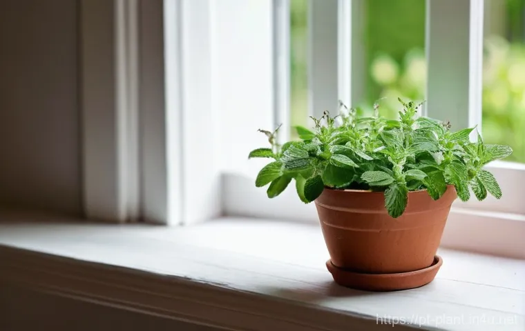 애플민트 재배 및 활용법 - **Vibrant Apple Mint in a Cozy Home Environment:**
    A close-up, eye-level shot of a thriving appl...