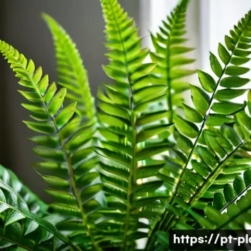 Home 30 반려식물 병해충 해결법 - A close-up view of a healthy potted fern plant with vibrant green leaves, showing subtle brown spots...