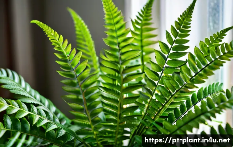 반려식물 병해충 해결법 - A close-up view of a healthy potted fern plant with vibrant green leaves, showing subtle brown spots...