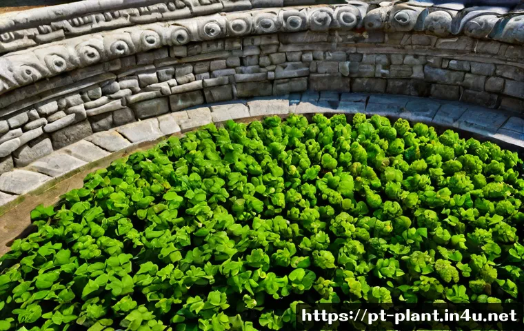 Como Evitar Pragas nas Plantas de Interior: Rotina Preventiva e Escolha de Produtos 2 실내 식물 해충 예방 방법 관련 이미지 1